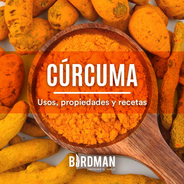 Cúrcuma: Todo lo que Necesitas Saber | VidaBirdman