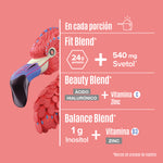 Fitmingo Protein Blueberry 510 g