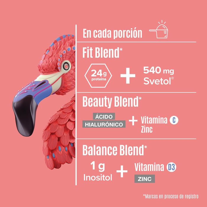 Fitmingo Protein Blueberry 510 g