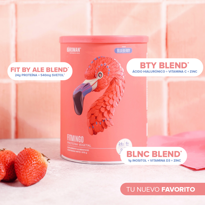 Fitmingo Protein Blueberry 510 g