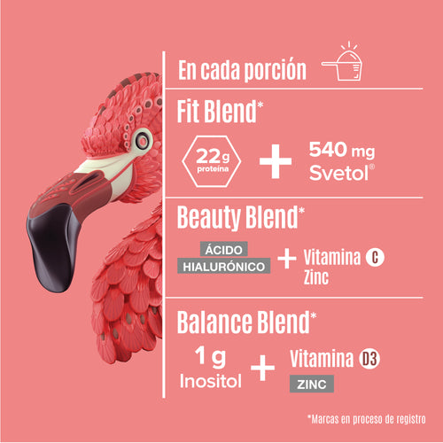 Fitmingo Protein Moka 510 g