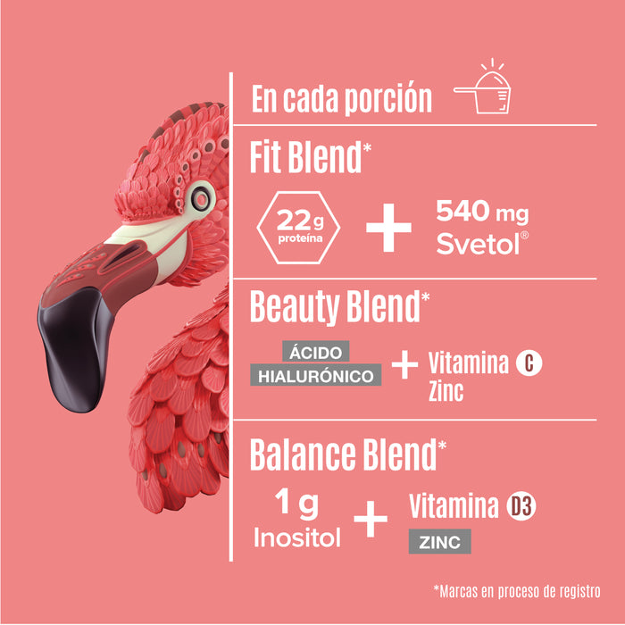Fitmingo Protein Moka 510 g