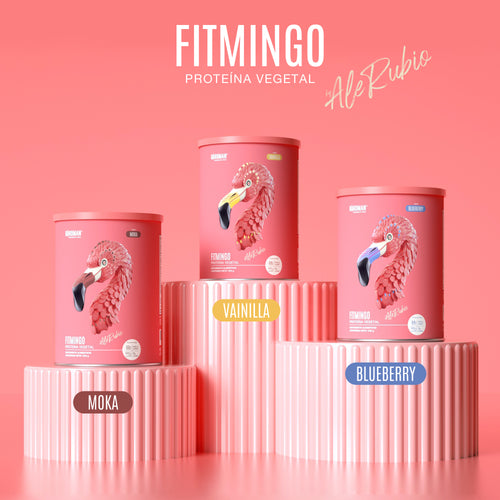Fitmingo Protein Moka 510 g