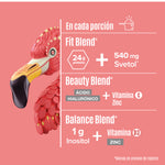 Fitmingo Protein Vainilla 510 g