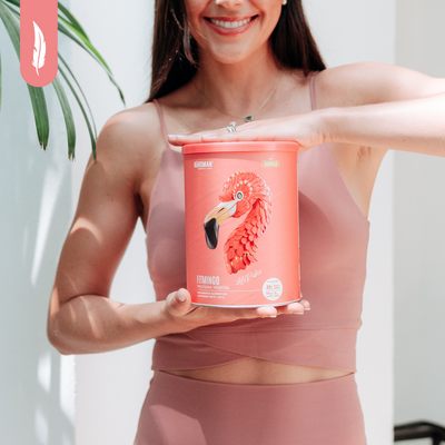 Fitmingo Protein Vainilla 510 g