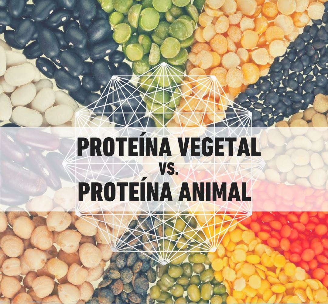 PROTEÍNA VEGETAL VS. PROTEÍNA ANIMAL