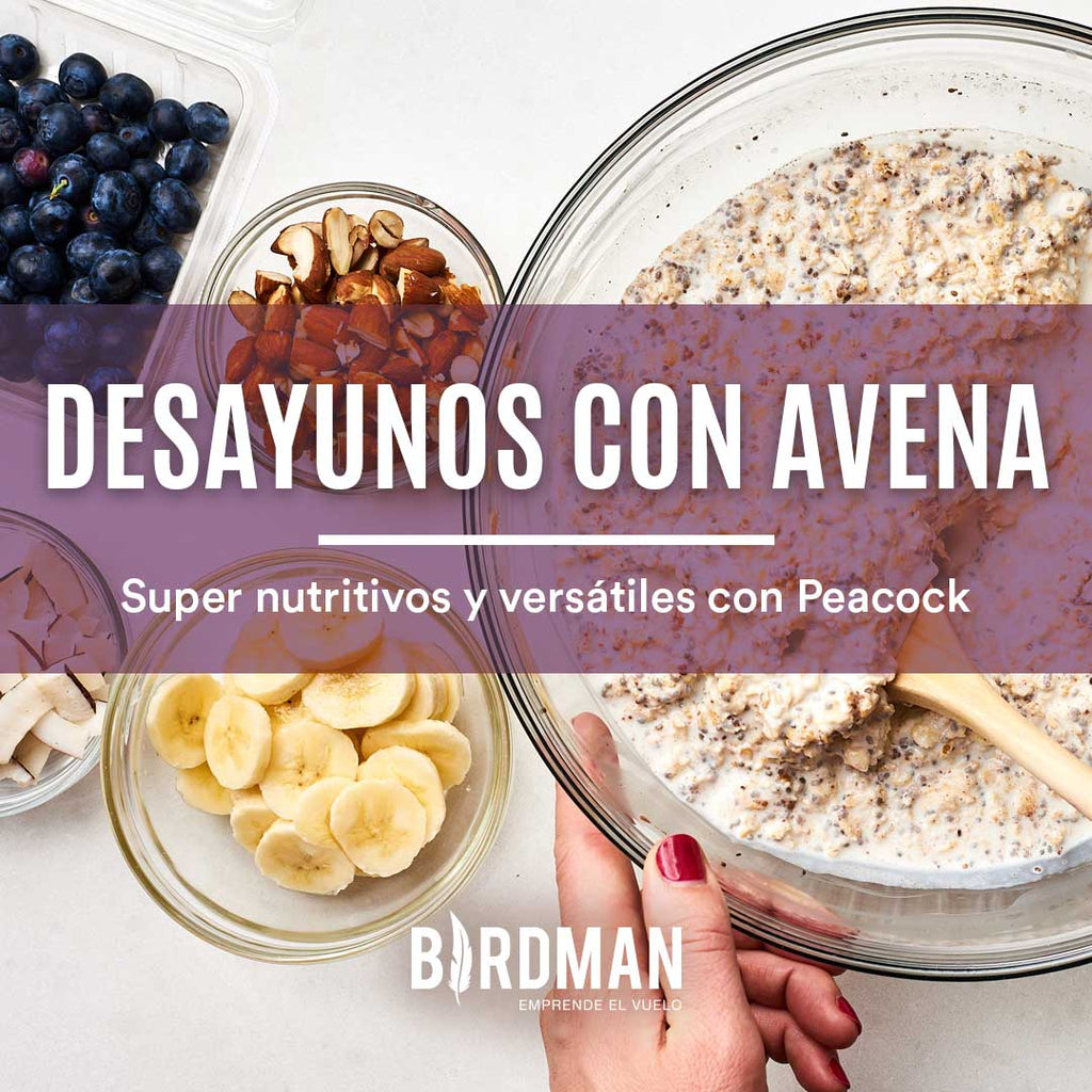 2 Deliciosos Desayunos de Avena con Peacock de Birdman | VidaBirdman