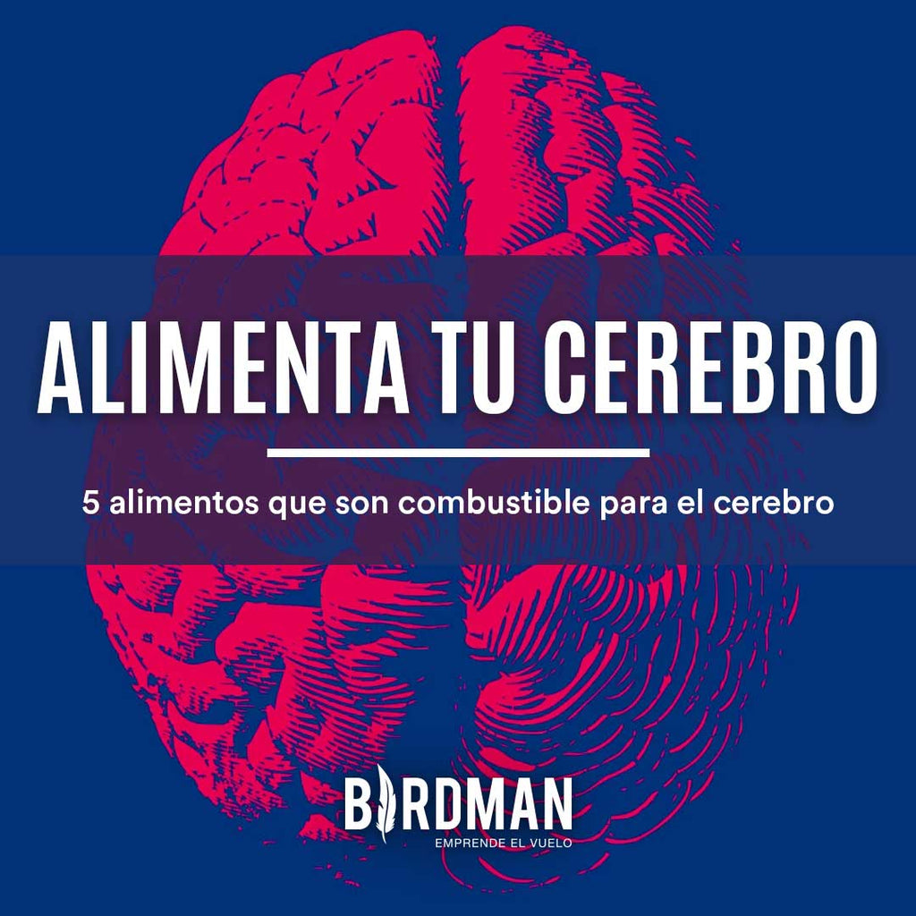 5 Alimentos para el Cerebro | VidaBirdman