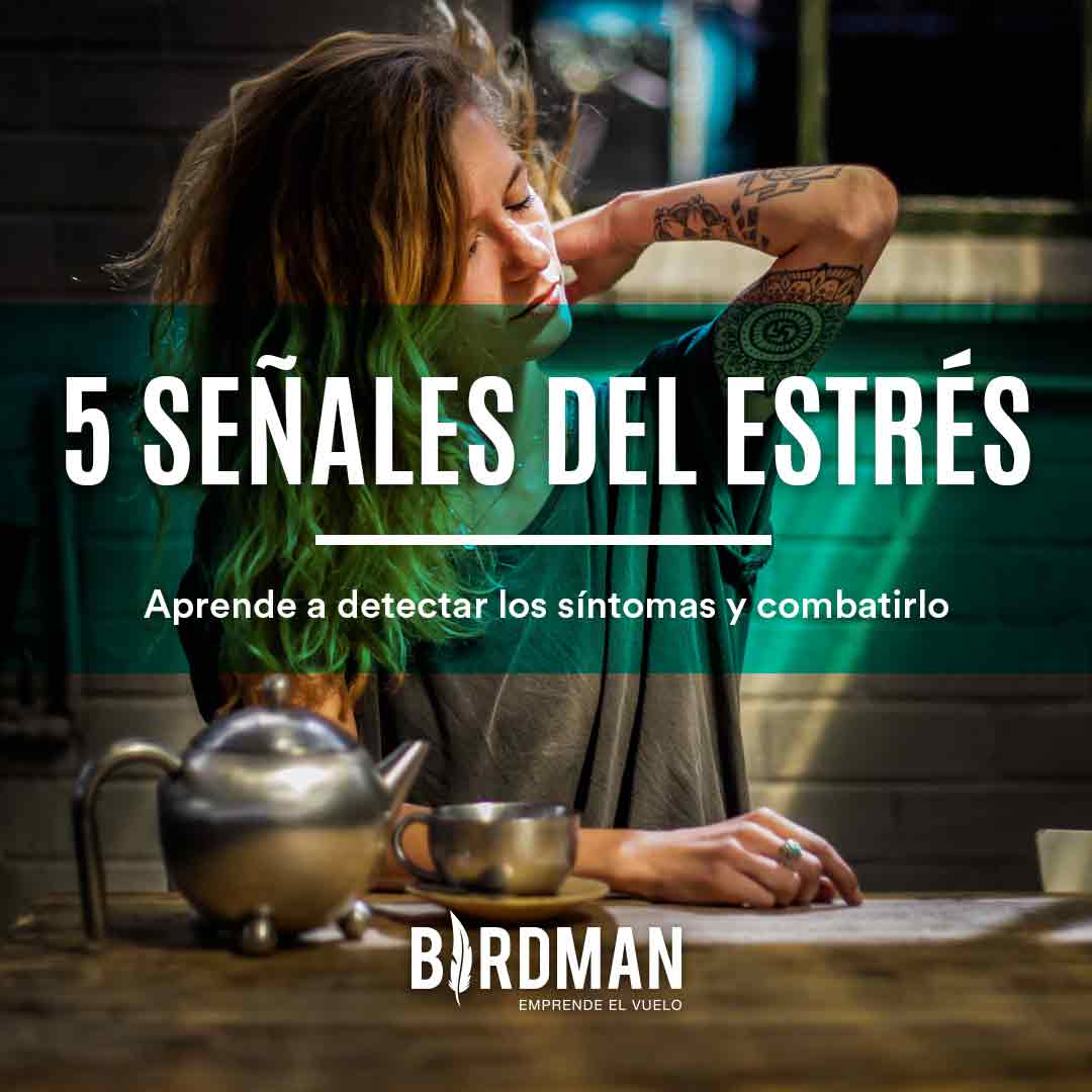 5 Señales de que Vives con Estrés | VidaBirdman