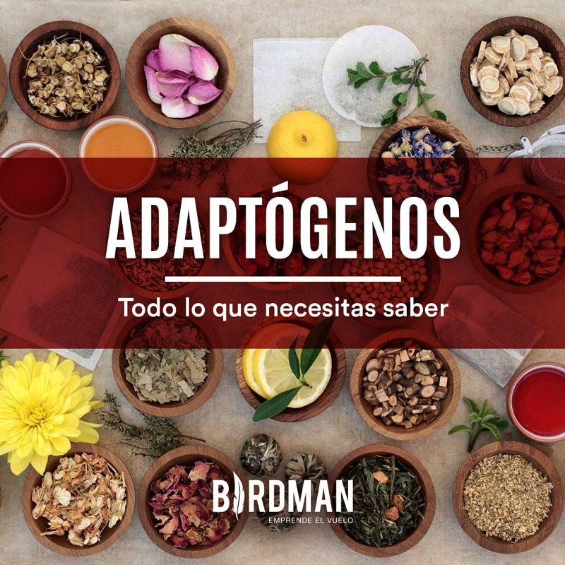 Adaptógenos: Todo lo que Necesitas Saber | VidaBirdman