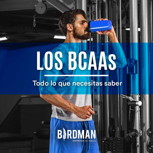 BCAAs ¿Qué Son y Para Qué Nos Sirven? | VidaBirdman