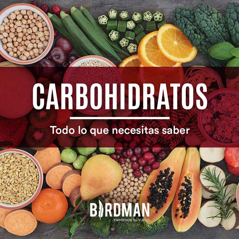 Carbohidratos: Sus Tipos, Propiedades y Composición | VidaBirdman