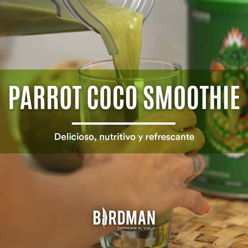 Coco-Parrot Smoothie | VidaBirdman