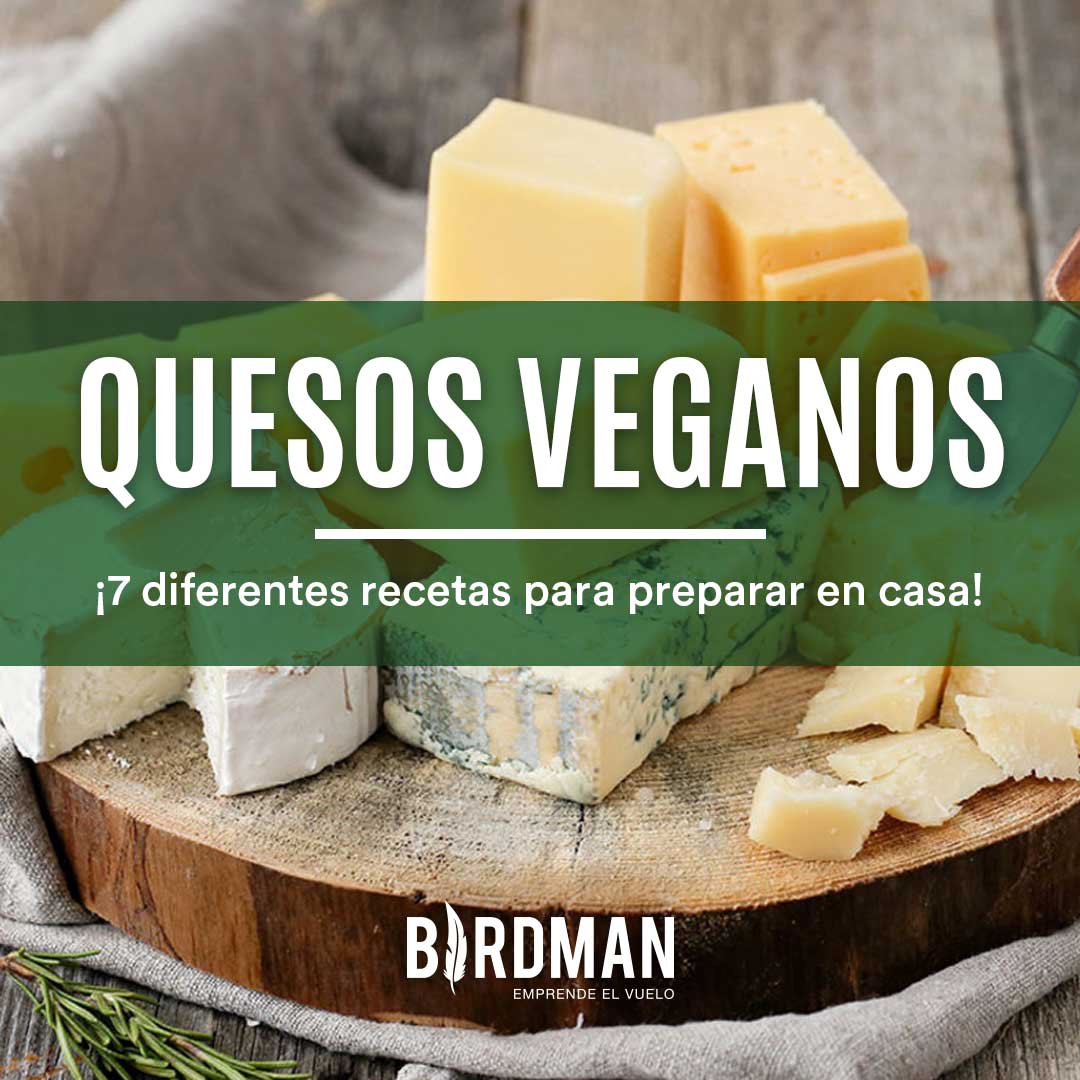 Cómo Hacer tus Propios Quesos Veganos | VidaBirdman