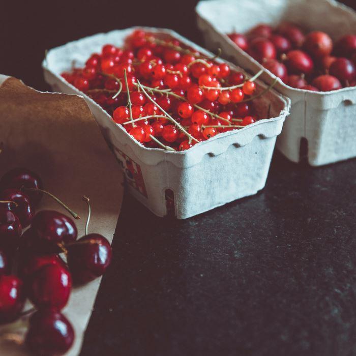 Conoce al Pteroestilbeno, un Poderoso Antioxidante | VidaBirdman