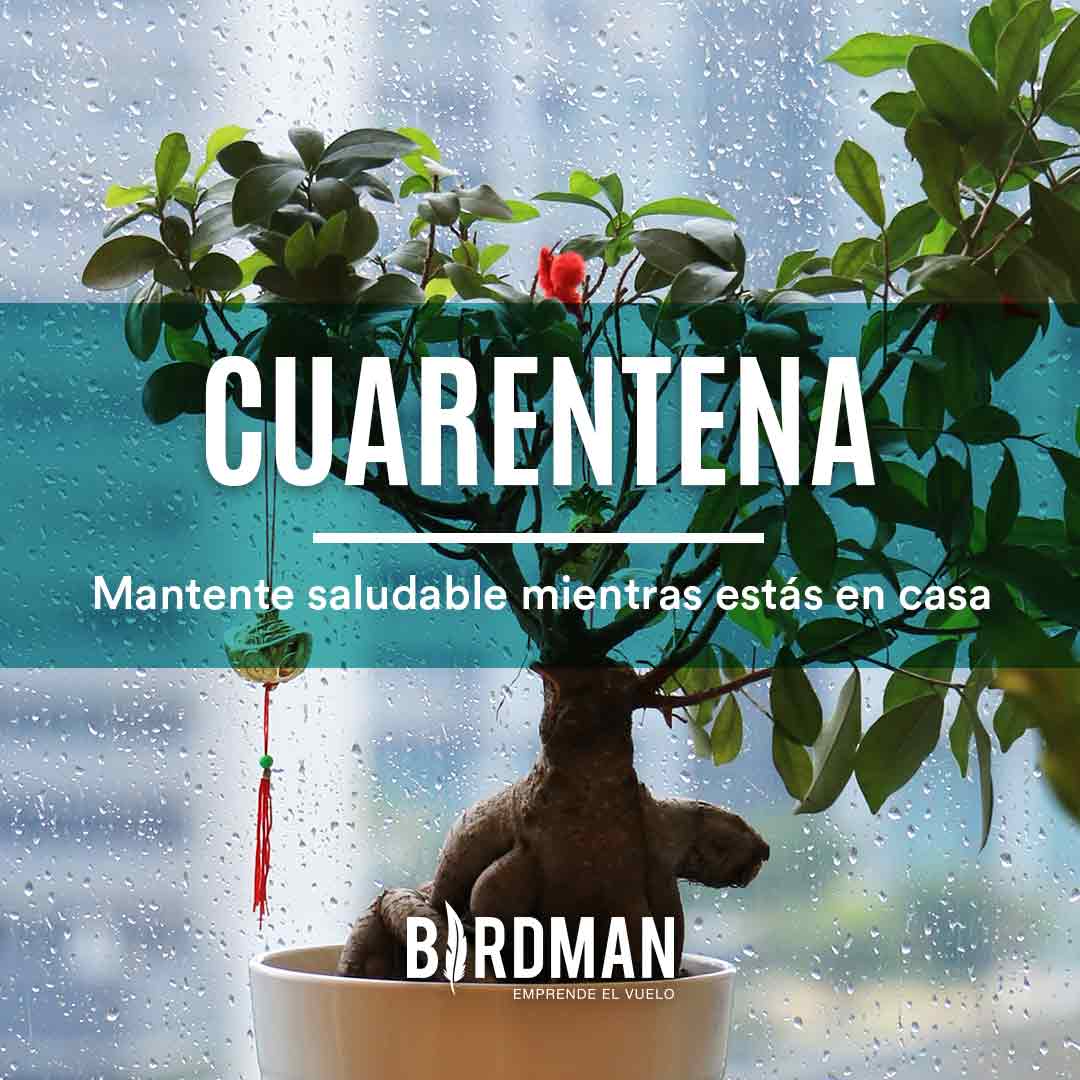 Cuida tu Salud durante la Cuarentena | VidaBirdman