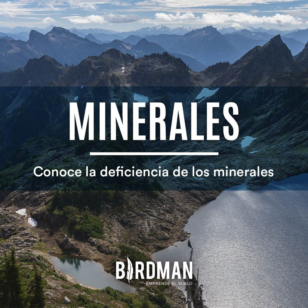 Deficiencia de Minerales ¿Qué es y Cómo Evitarla? | VidaBirdman