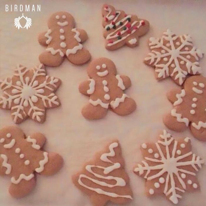 Gingerbread Cookies | VidaBirdman