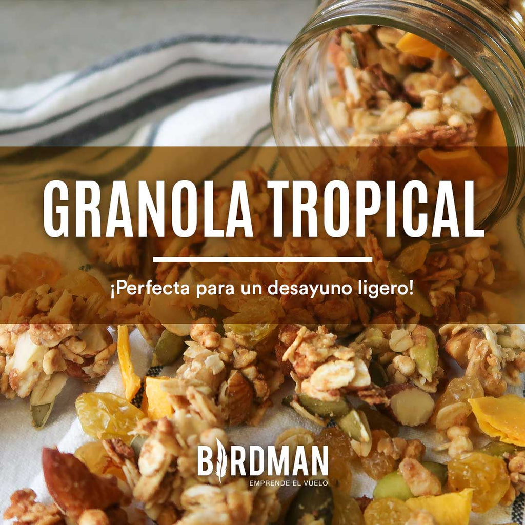 Granola Tropical Casera | VidaBirdman