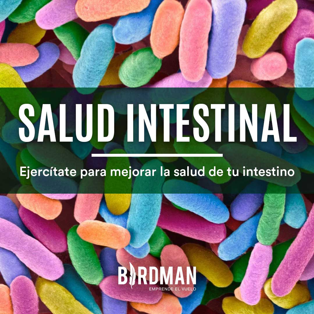 Haz Ejercicio Para Mejorar tu Salud Intestinal | VidaBirdman