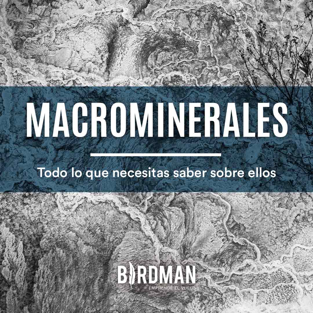 Importancia de los Macrominerales | VidaBirdman