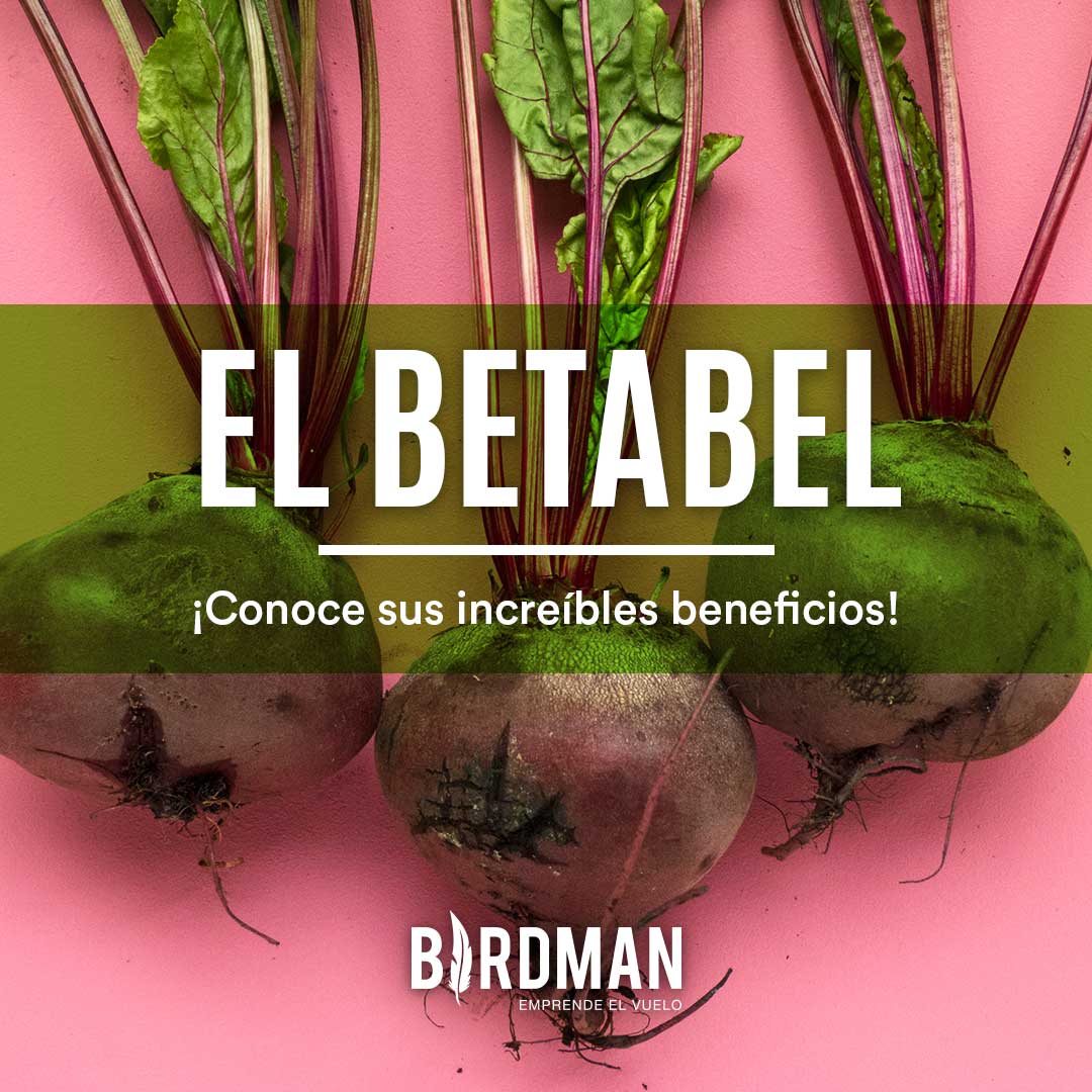 Los Beneficios del Betabel | VidaBirdman