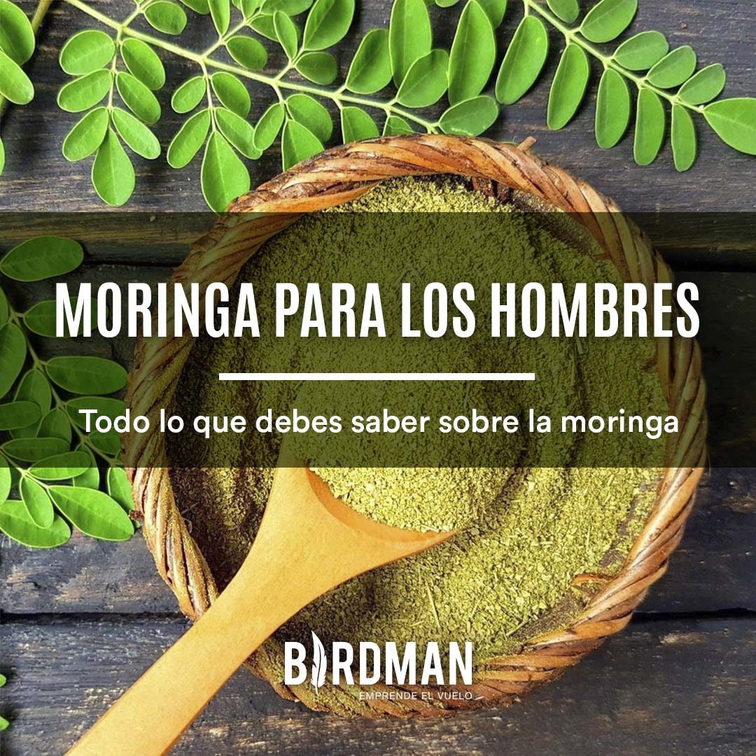 Moringa: 4 Beneficios y Contraindicaciones Según la Ciencia