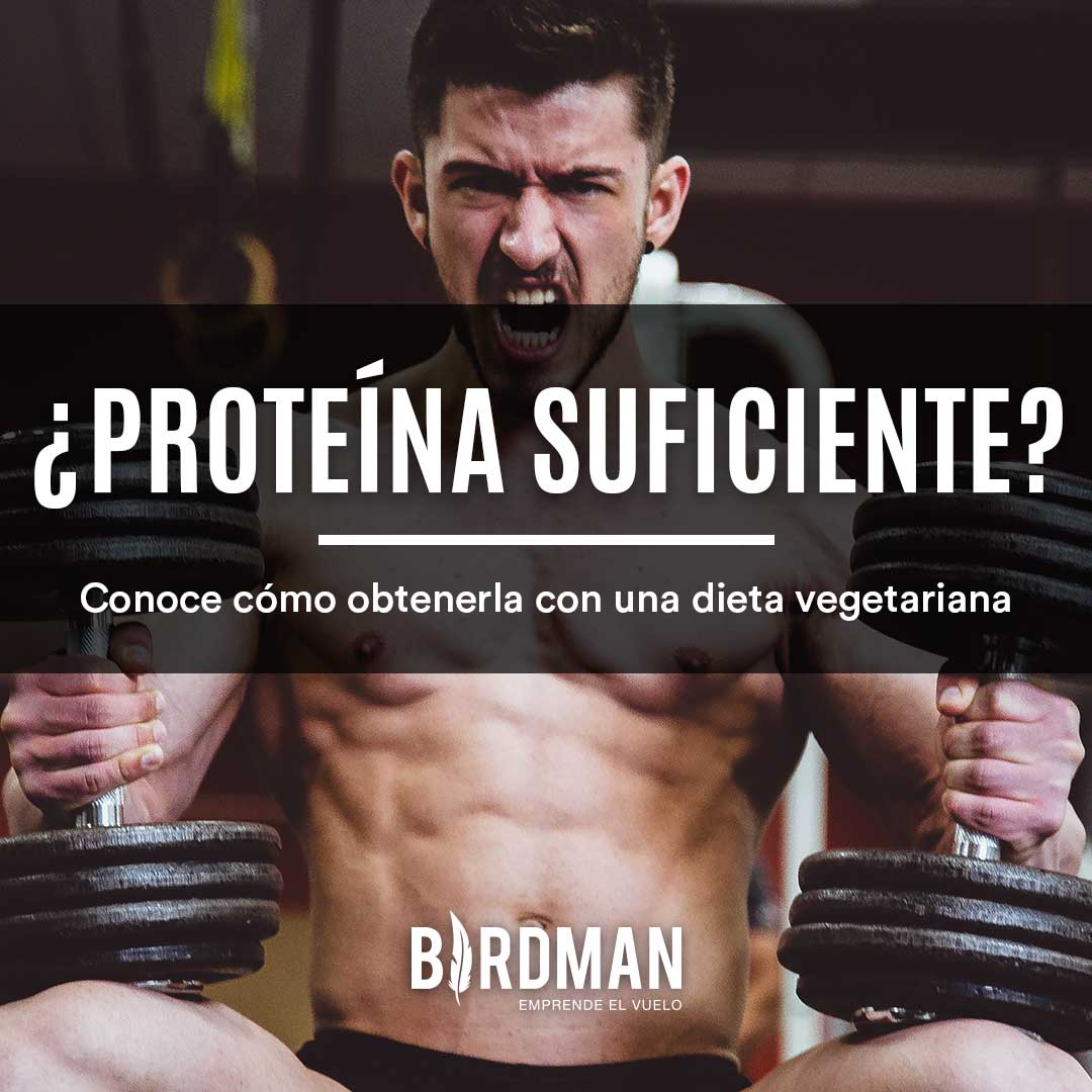 ¿Es Suficiente la Ingesta de Proteína en las Dietas Vegetarianas?