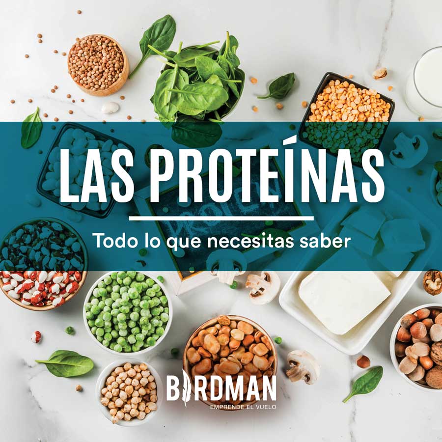 Proteínas: Todo lo que Necesitas Saber | VidaBirdman