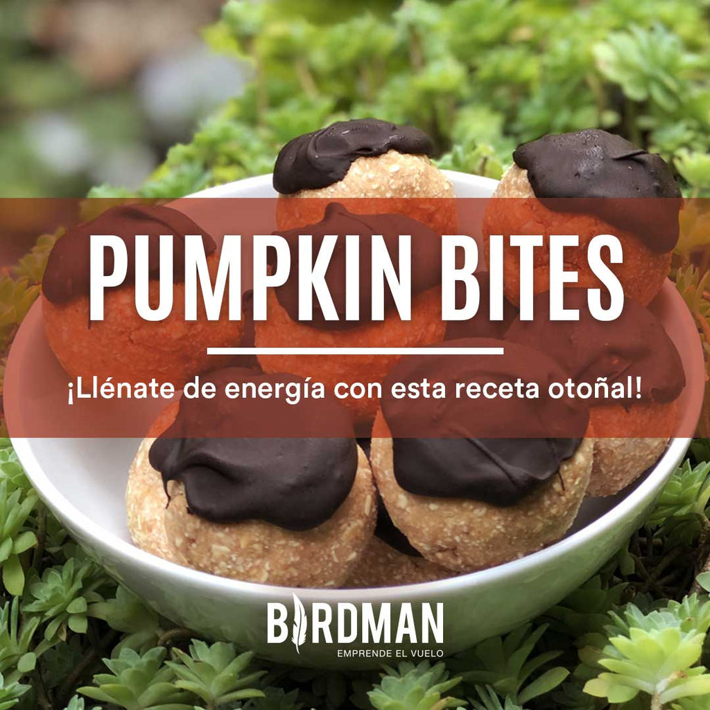 Pumpkin Spice Power Bites | VidaBirdman