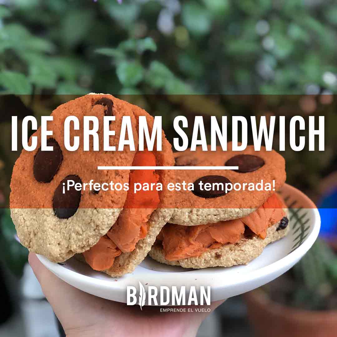 Sandwich de Helado Casero | VidaBirdman