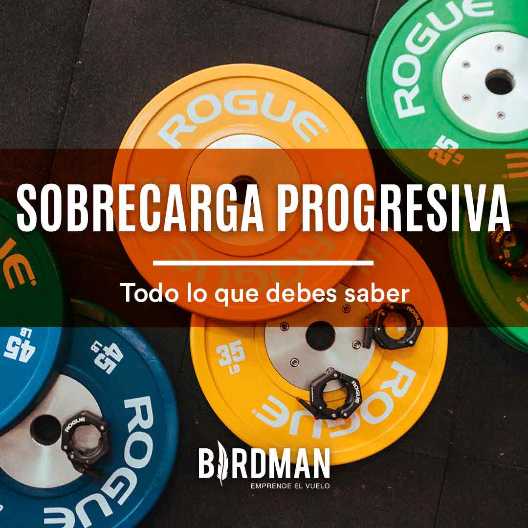 Sobrecarga Progresiva | VidaBirdman