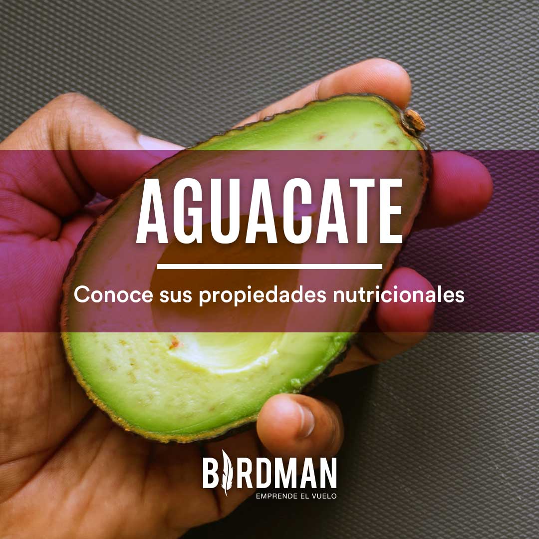 Todo Lo Que Necesitas Saber Sobre el Aguacate | VidaBirdman