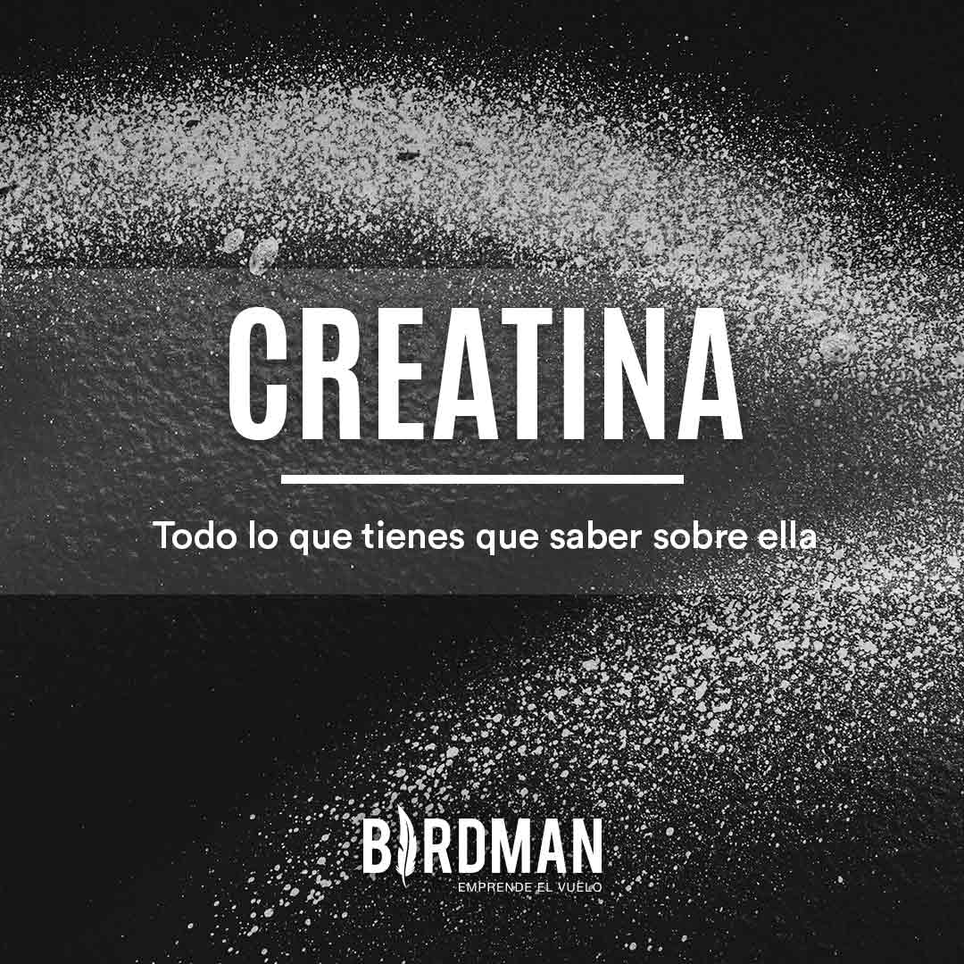 Todo lo Que Necesitas Saber Sobre la Creatina | VidaBirdman