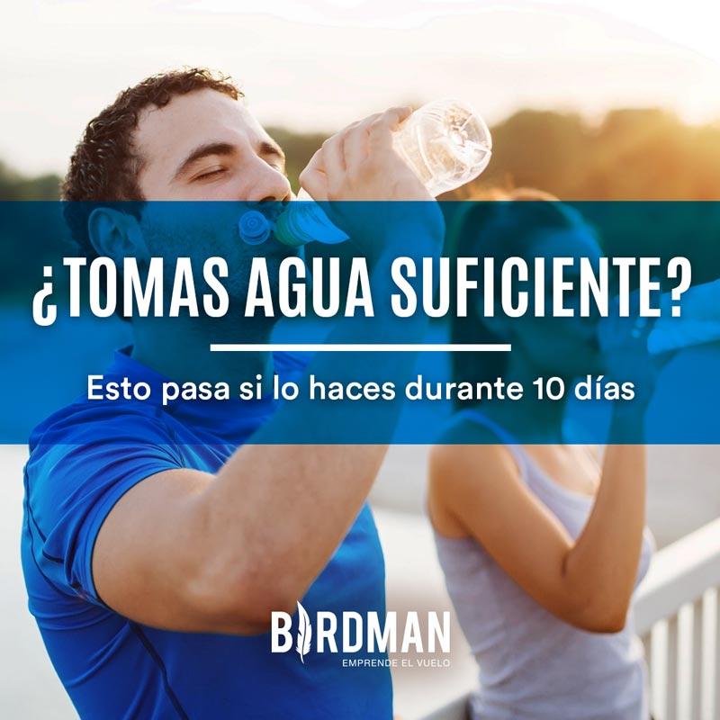 ¿Tomas Agua Suficiente? Esto Pasa en 10 Días Si lo Haces | VidaBirdman