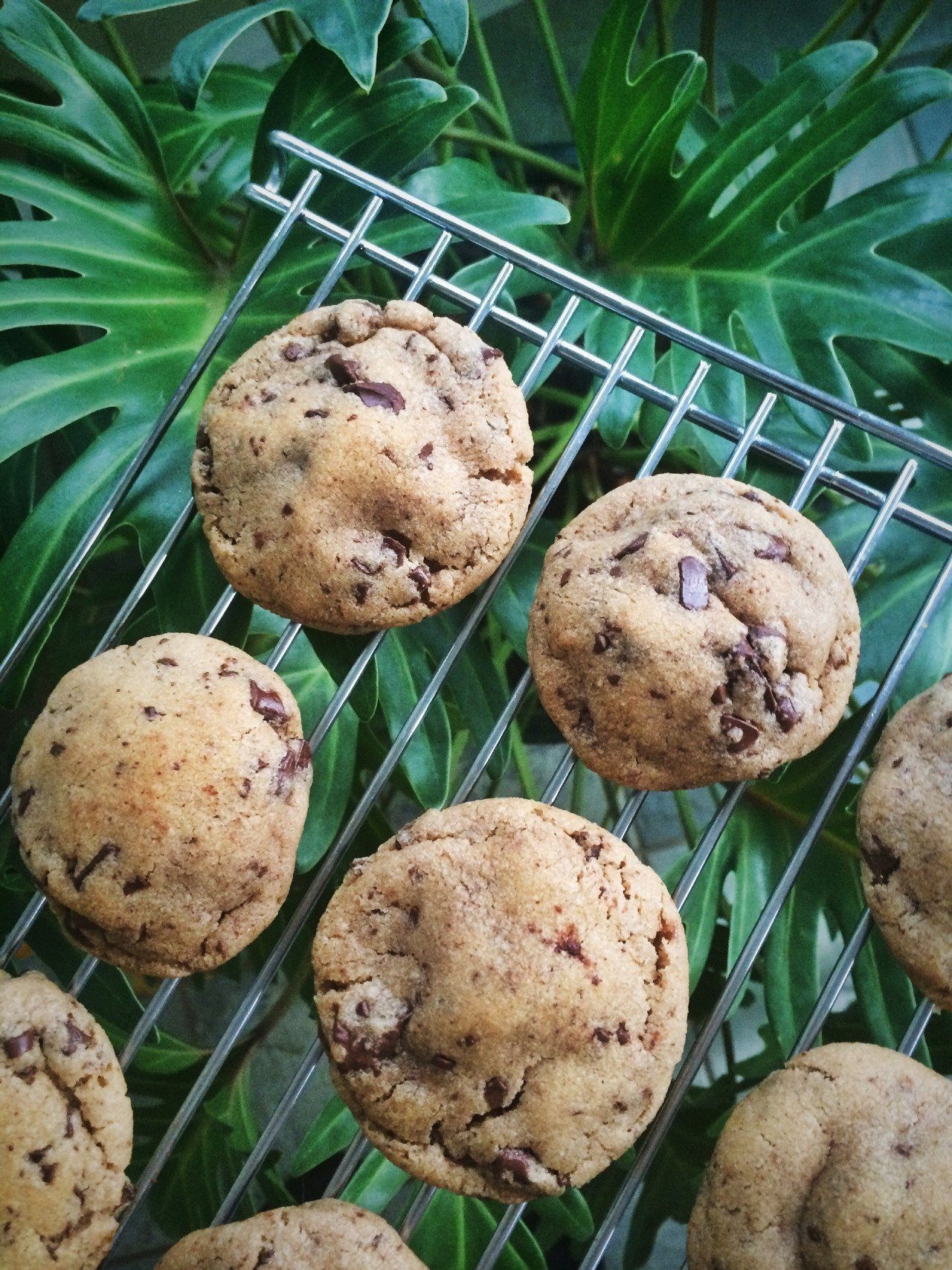 CHOCO CHIP VEGAN COOKIES