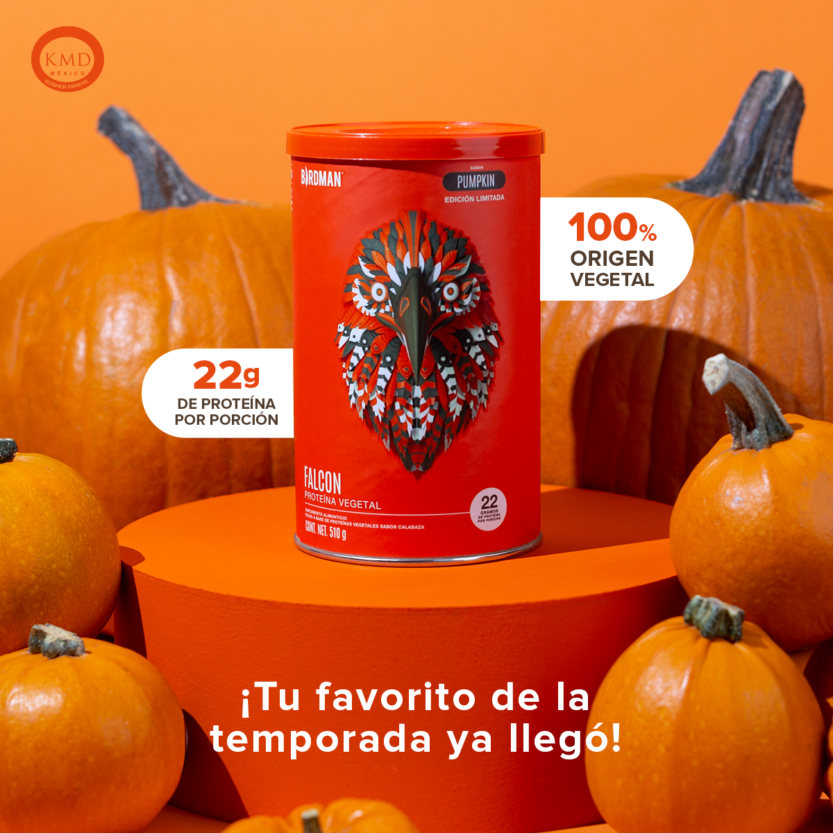 Falcon Protein Pumpkin 510 g EDICIÓN LIMITADA - 17 Servicios