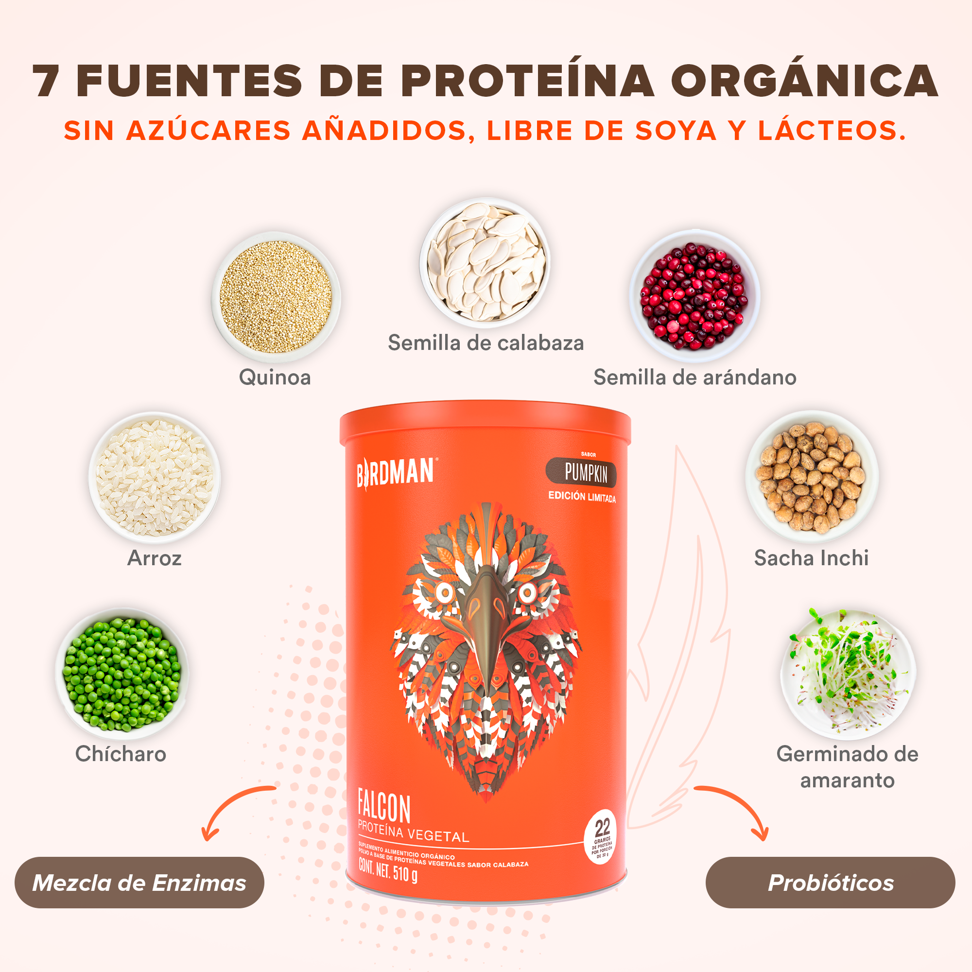 Falcon Protein Pumpkin 510 g EDICIÓN LIMITADA - 17 Servicios