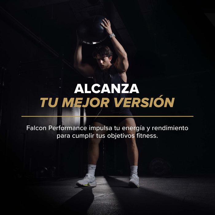 Falcon Performance - Nueva Fórmula - Choco Bronze - 552g