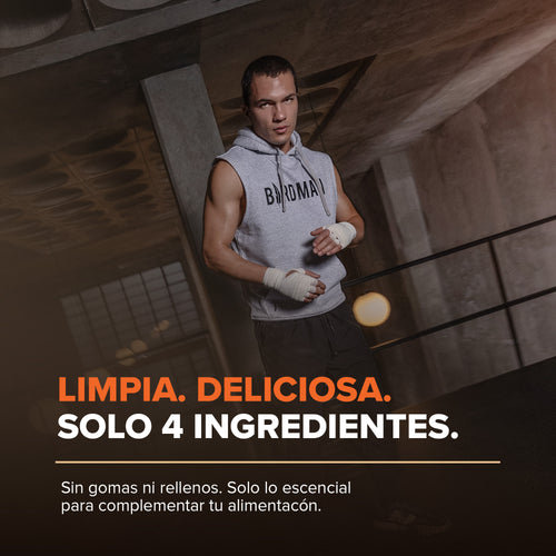 Falcon Protein Pumpkin 480 g