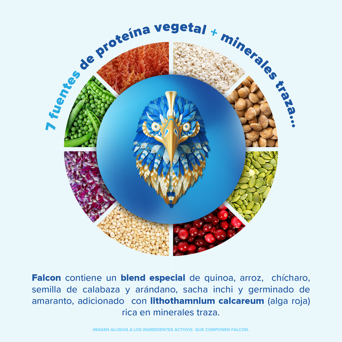 Falcon Protein Chai 1.17 kg - 39 Servicios