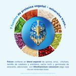 Falcon Protein Fresa 510 g - 17 Servicios