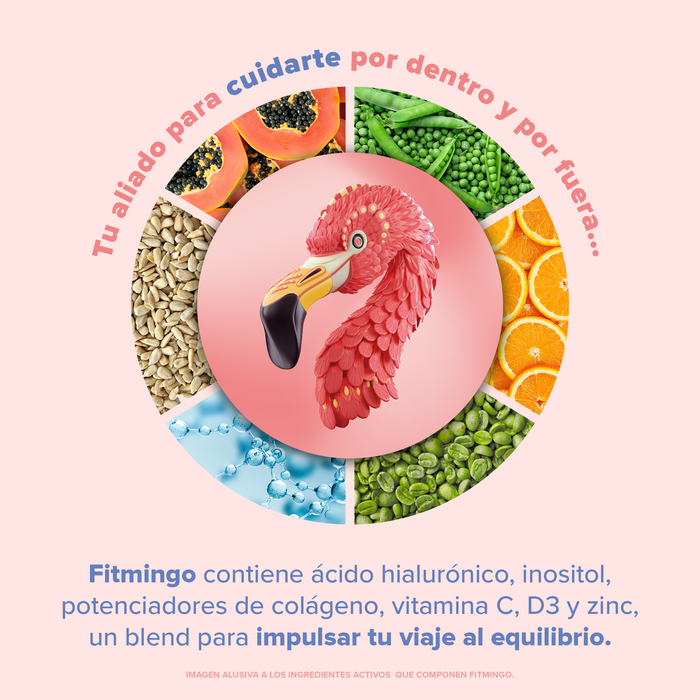 Fitmingo Protein Blueberry 10 pack sobres pack
