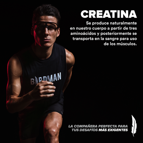 Creatina Monohidratada 450 g - 90 Servicios